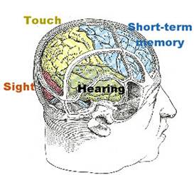 headbrainx-large.jpg